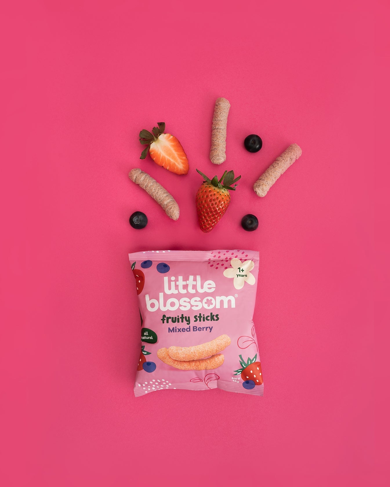 Fruity Sticks - Mixed Berry (Bundle of 6)