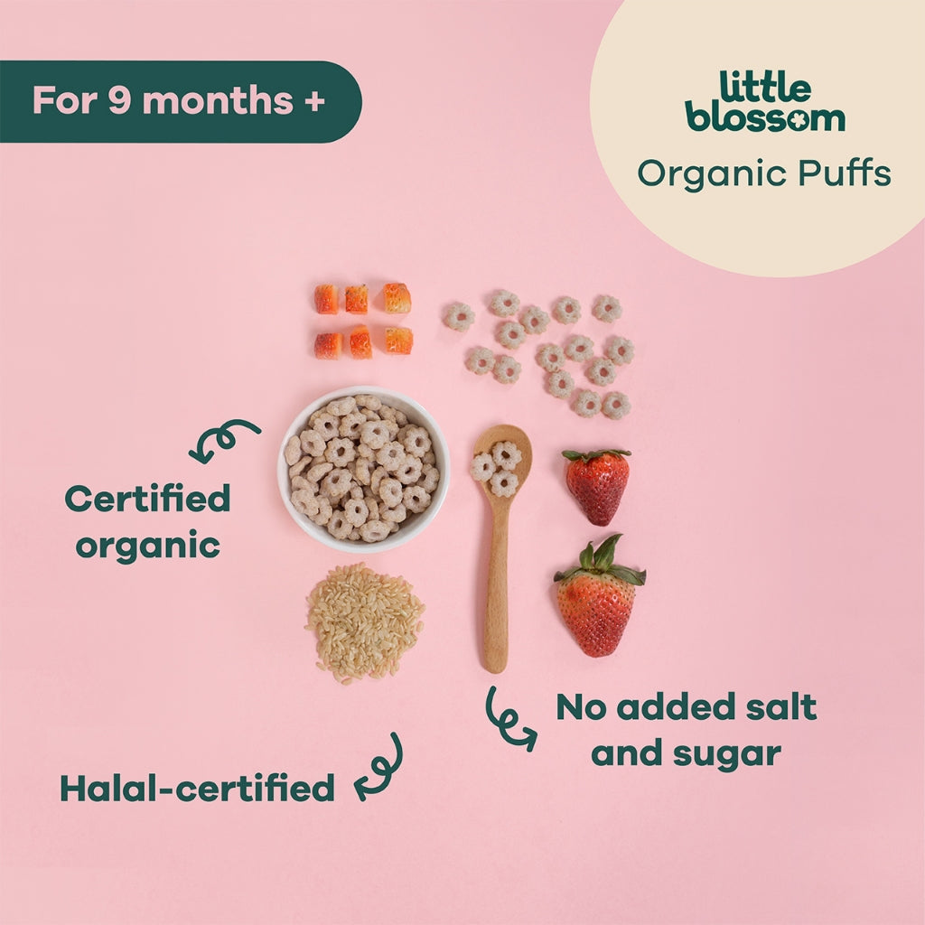 Mini Organic Strawberry Puffs (Bundle of 10 packs)
