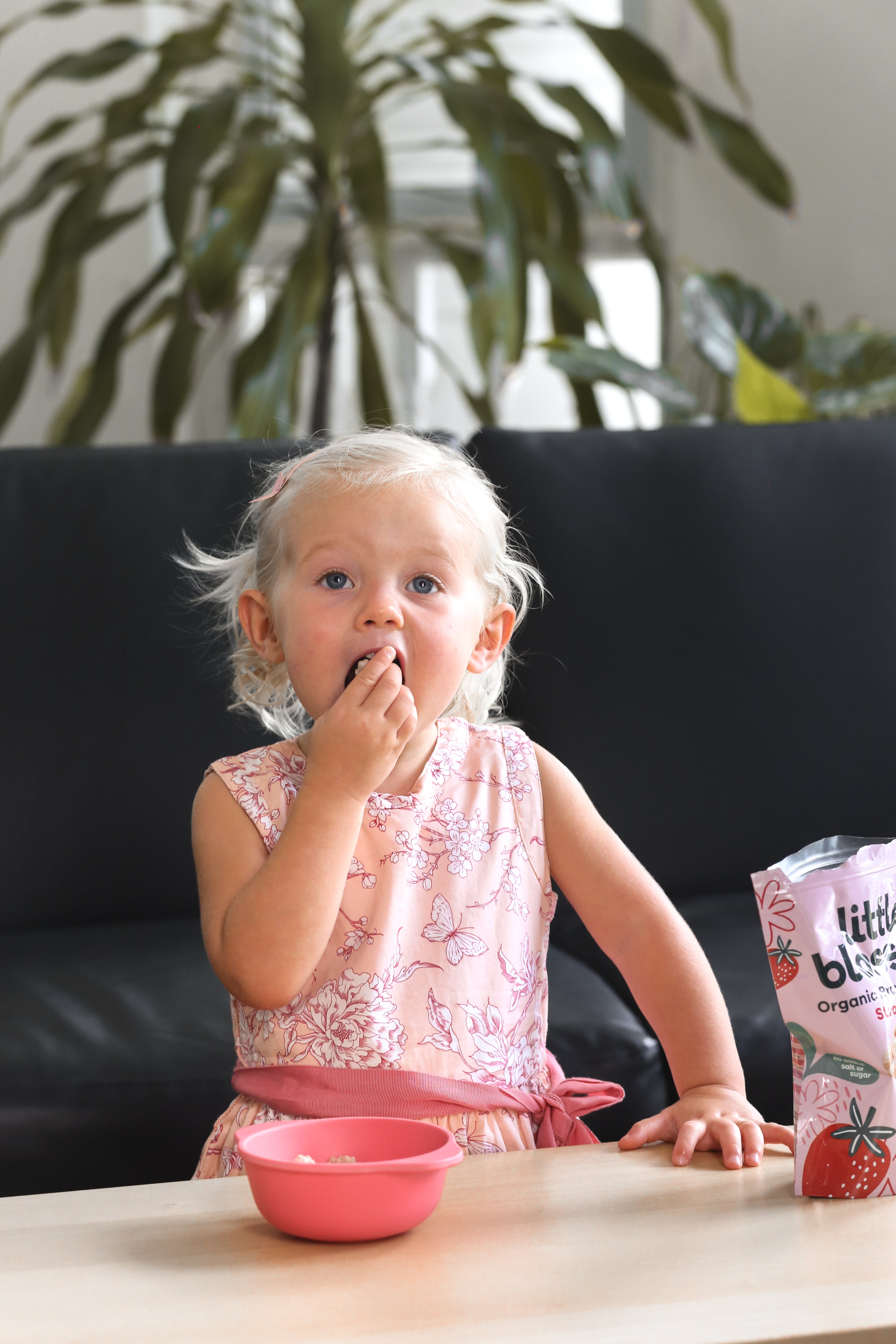 Organic Brown Rice Puffs | Strawberry